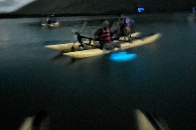 Bioluminescent Bay Chiliboats Waterbike Tour in La Parguera - The 1.5-hour schedule: how the ride and the glow time feel