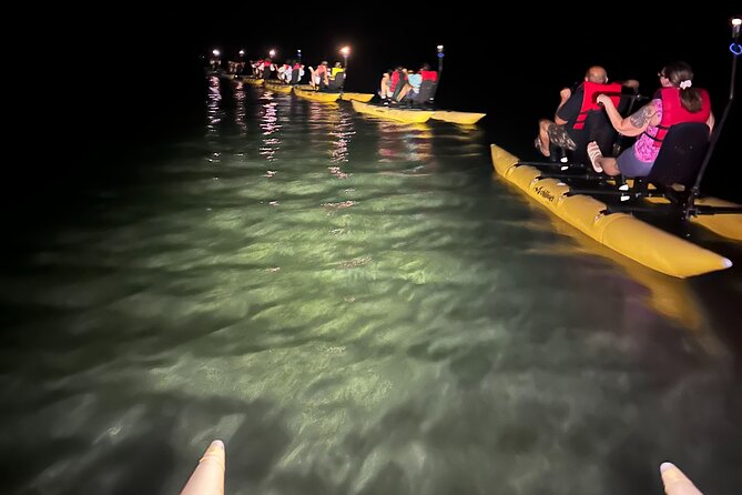Bioluminescent Bay Chiliboats Waterbike Tour in La Parguera - Price and value: is $79 a good deal for a La Parguera night tour?