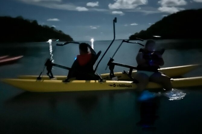 Bioluminescent Bay Chiliboats Waterbike Tour in La Parguera - Who this Chiliboats biobay tour is best for