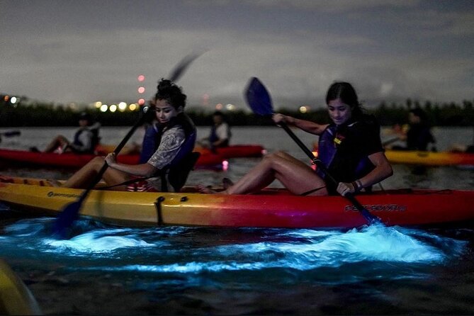 Bioluminescent Bay Kayak Tour in Fajardo Puerto Rico - Key highlights before you go