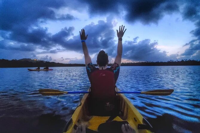 Bioluminescent Bay Kayak Tour in Fajardo Puerto Rico - Bahia Fajardo mangroves: the quiet warm-up section