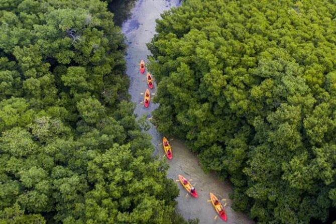 Bioluminescent Bay Kayak Tour in Fajardo Puerto Rico - Faro Cabezas de San Juan: lighthouse views plus the glow moment