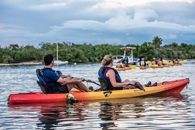 Bioluminescent Bay Kayak Tour in Fajardo Puerto Rico - Group size, fitness level, and who this fits best