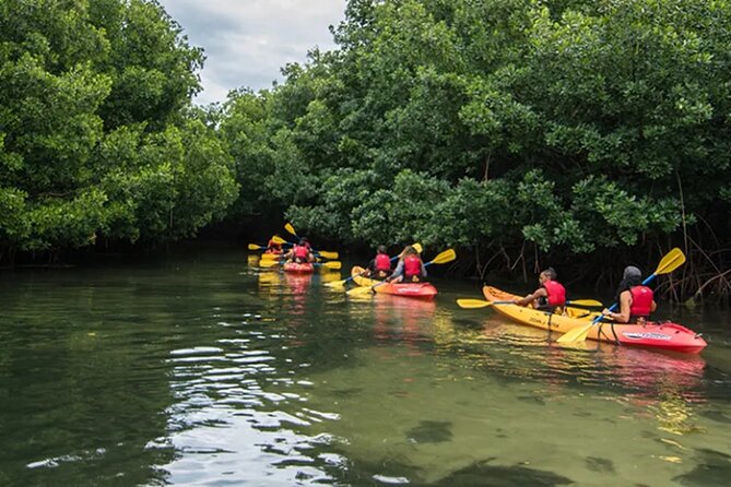Bioluminescent Bay Kayak Tour in Fajardo Puerto Rico - Price and value: is $93 worth it?