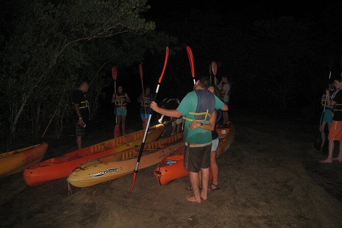 Bioluminescent Bay Kayak Trip from Vieques - Key takeaways before you go