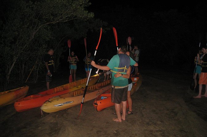 Bioluminescent Bay Kayak Trip from Vieques - The Bahia Bioluminiscente paddle: 1.5 hours in the dark