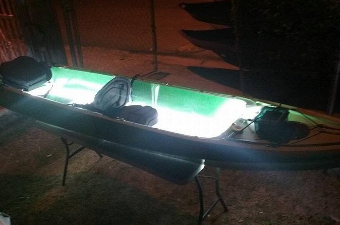 Bioluminescent Bay Kayak Trip from Vieques - How bright will the bioluminescence be on your night?