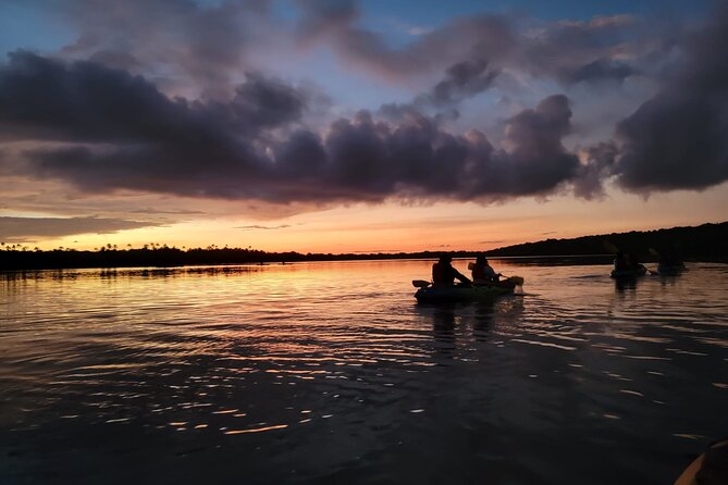 Bioluminescent Bay Night Kayaking Adventure in Puerto Rico - Key highlights at a glance
