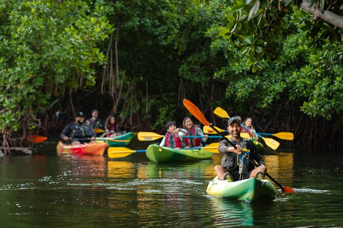 Bioluminescent Bay Night Kayaking Adventure in Puerto Rico - Beginner-Friendly Coaching With Names You Might Remember