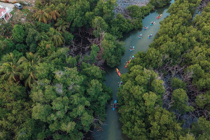 Bioluminescent Bay Night Kayaking Adventure in Puerto Rico - Value for $80: What You’re Paying For, and When It Feels Worth It