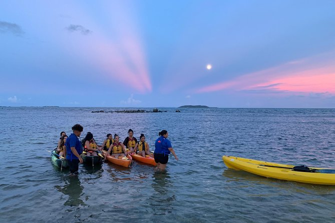 Bioluminescent Bay Night Kayaking, Fajardo - Key things that make this night kayak in Fajardo work
