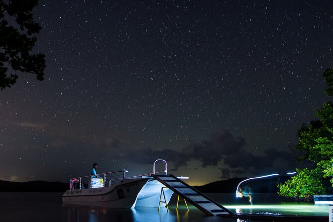 Bioluminescent Boat Tour in Mosquito Bay, Vieques - Key points before you go