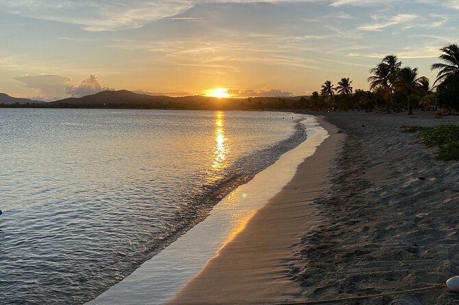 Bioluminescent Boat Tour in Mosquito Bay, Vieques - The electric catamaran setup, group size, and ride comfort