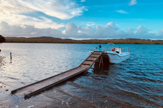 Bioluminescent Boat Tour in Mosquito Bay, Vieques - How the glow experience works on board (sticks, stars, and close-up moments)