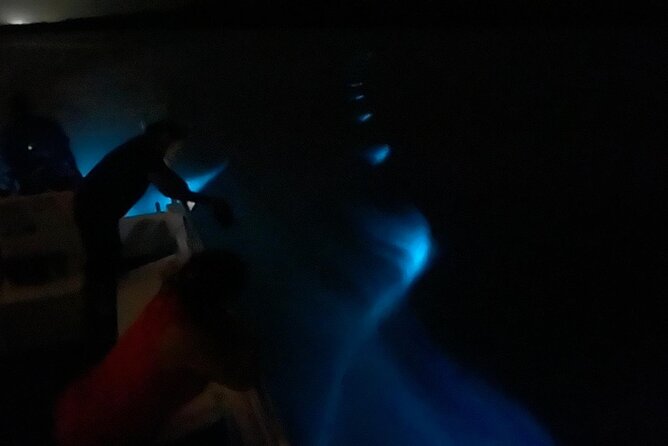 Bioluminescent Boat Tour in Mosquito Bay, Vieques - Price and value: what $100 gets you (and what it does not)