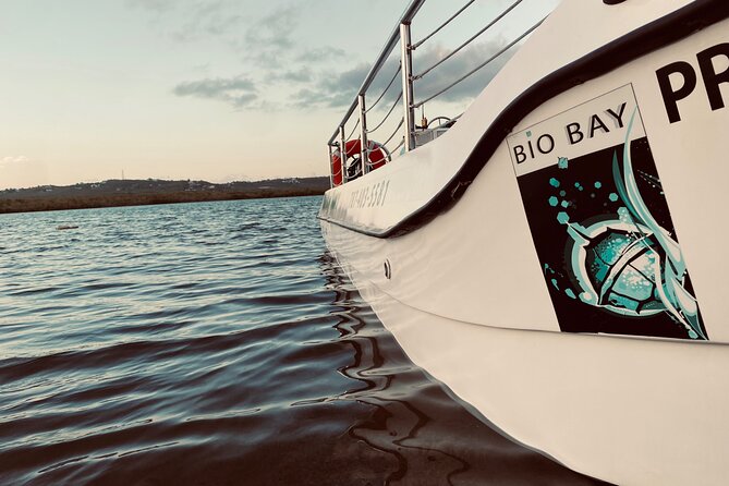 Bioluminescent Boat Tour in Mosquito Bay, Vieques - Meeting point, dark roads, and how to avoid stress