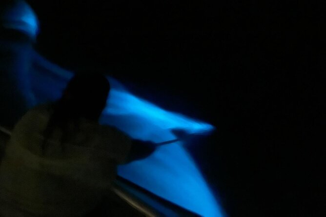 Bioluminescent Boat Tour in Mosquito Bay, Vieques - Who this tour fits best, and who should think twice