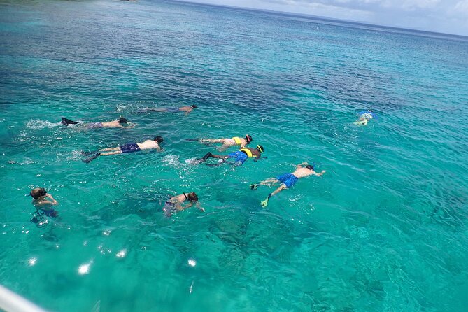 Boat Snorkeling and beach day to the Fajardo islands - Snorkel Stops: What the Underwater World Is Like