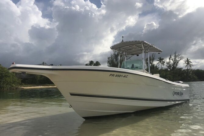 Boat trip in palomino /icacos /fajardo Puerto Rico - Key things to know before you go