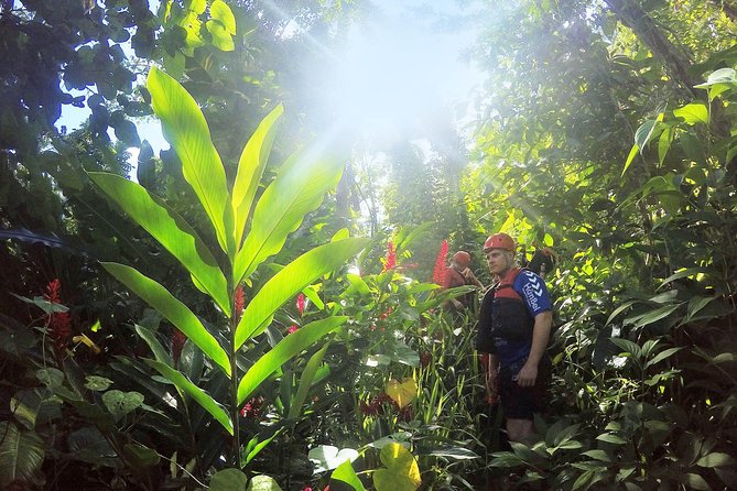 Body Rafting™ & Caving in a Natural Sanctuary - Should you book Body Rafting and Caving near Arecibo?