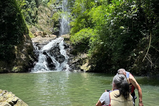 Chase Waterfalls - Discover a hidden 180ft rainforest gem - Price and Value at $55: What You Get for One Half-Day