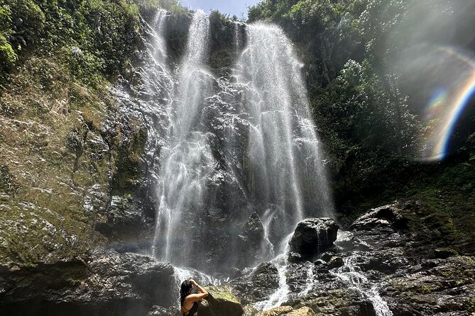 Chase Waterfalls - Discover a hidden 180ft rainforest gem - Small Group Size and Scheduling: Why Max 14 Matters