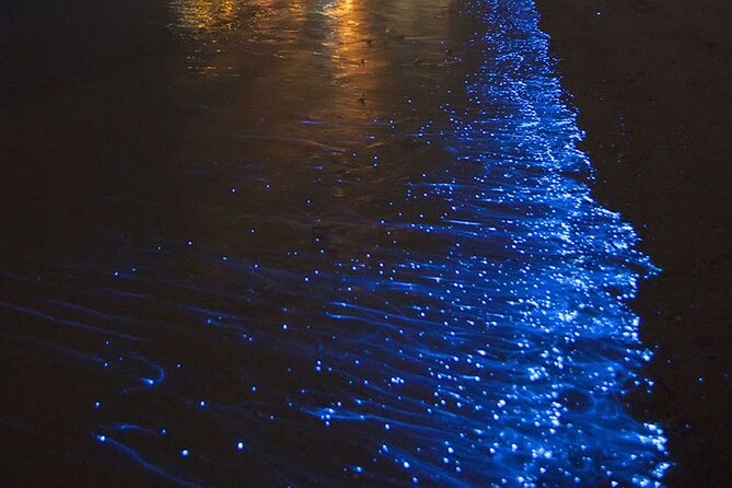 CLEAR BOTTOM KAYAKS Tour in Bioluminescent, Mosquito Bay - Key Things You’ll Notice on This Bioluminescent Kayak Tour