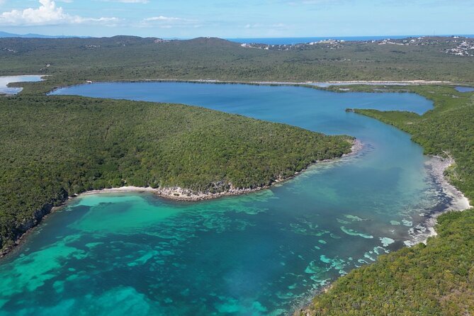 CLEAR BOTTOM KAYAKS Tour in Bioluminescent, Mosquito Bay - Moon, Weather, and Why Some Nights Look Brighter