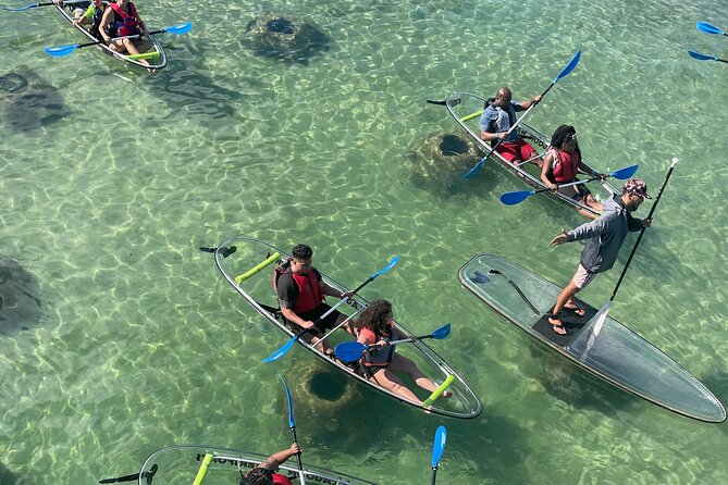 Clear Kayak Tour in Condado Lagoon - Why early-morning Condado Lagoon feels different than later hours