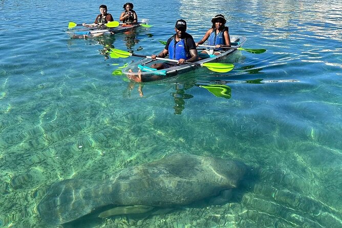 Clear Kayak Tour in Condado Lagoon - Getting to the meeting point at Condado Ocean Club (1045 Ashford Ave)