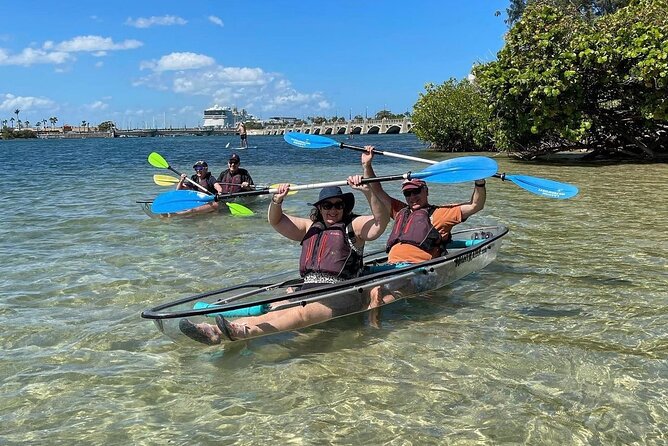 Clear Kayak Tour in Condado Lagoon - Wildlife spotting in the lagoon, from pelicans to manatees