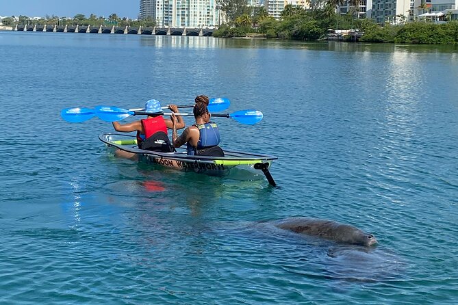Clear Kayak Tour in Condado Lagoon - How the guide makes the paddle time feel educational