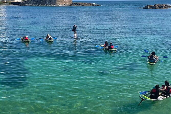 Clear Kayak Tour in Condado Lagoon - Price and value: $59 for a guided clear kayak with included gear