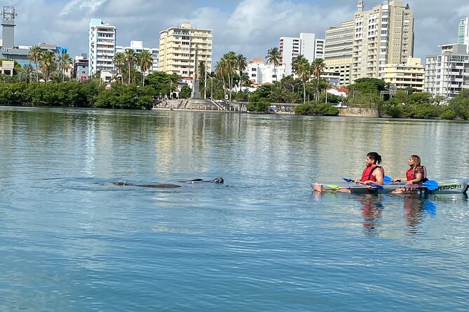 Clear Kayak Tour in Condado Lagoon - Who this clear kayak tour is best for