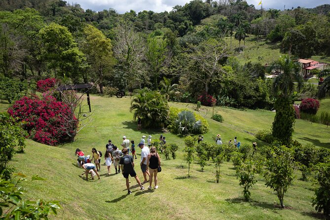 Coffee Plantation and River with Waterfalls in Puerto Rico - A half-day plan that actually mixes coffee culture and waterfall time