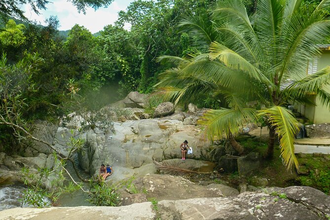 Coffee Plantation and River with Waterfalls in Puerto Rico - Los 7 Chorros Bar Restaurant: lunch that keeps the day flowing