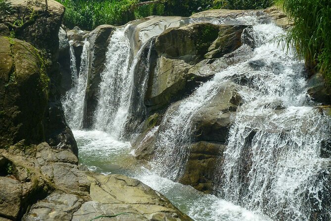 Coffee Plantation and River with Waterfalls in Puerto Rico - Timing, transit, and why the van matters on a half-day trip