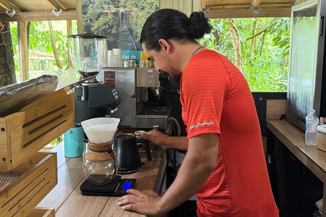 Coffee & Waterfalls Tour: from the mountains to the cup - FinCafé at Finca La Niña: the tree-house coffee stop you will remember
