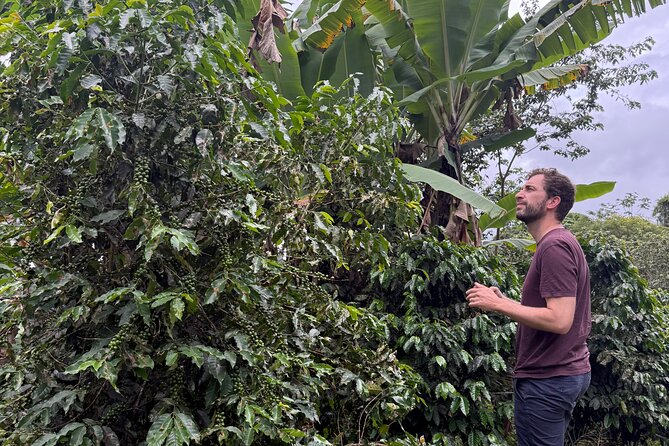 Coffee & Waterfalls Tour: from the mountains to the cup - Chorro de Doña Juana: why the 3 tiers are worth the short stop