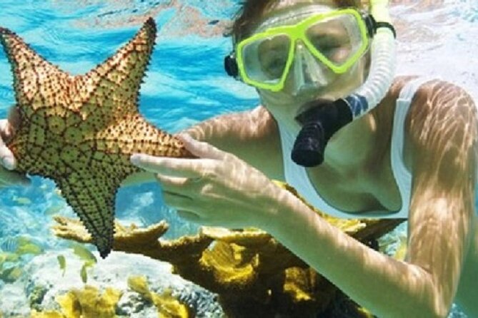 Combo El Yunque Rainforest and San Juan Snorkeling with Transport - How the day runs: 8:00 am start, rainforest first, beach snorkeling after