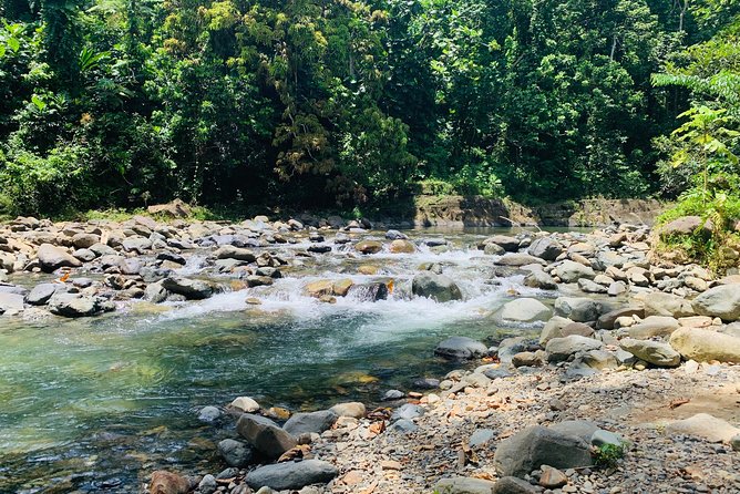 Concrete Jungle to the Actual Jungle, The Complete Package Tour - From concrete streets to the rainforest in one half-day