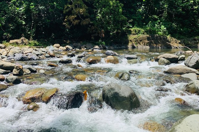 Concrete Jungle to the Actual Jungle, The Complete Package Tour - Transportation, comfort, and the real meaning of private guiding