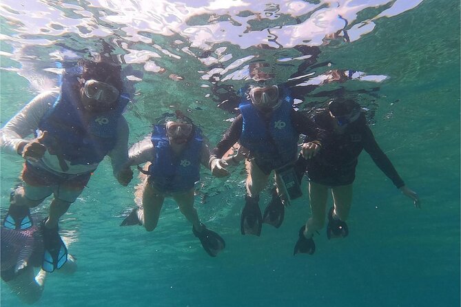 Coral Reef and Sea Turtle Snorkeling Experience - Coral Reef and Sea Turtle Snorkeling: Key Things to Know Up Front