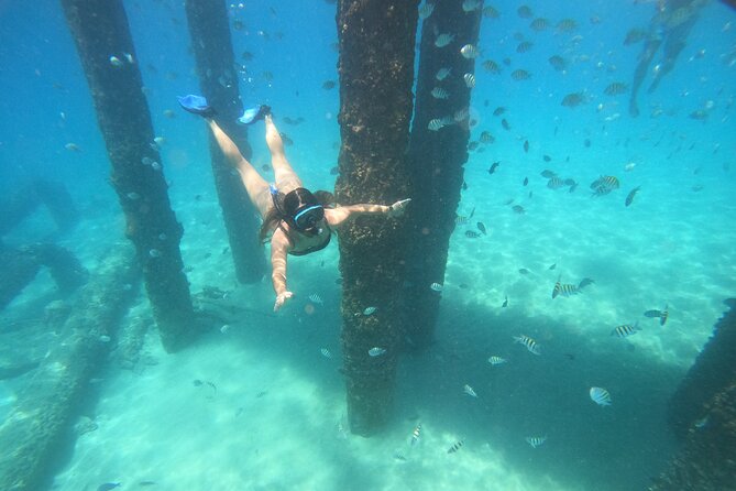 Coral Reef Snorkel Adventure with Photos and Videos - Quick reasons you’ll probably love it