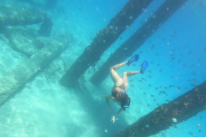 Coral Reef Snorkel Adventure with Photos and Videos - Tres Palmas Marine Reserve is the kind of reef that works for first-timers