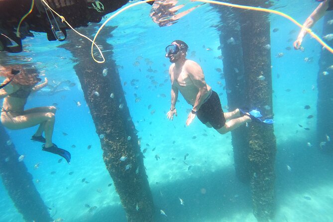 Coral Reef Snorkel Adventure with Photos and Videos - The snorkel route: what you might spot on a coral reef day
