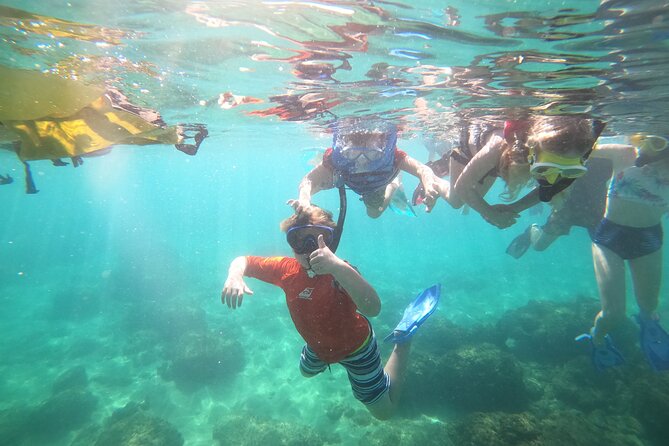 Coral Reef Snorkel Adventure with Photos and Videos - Guides make the difference: how patience shows up in the water