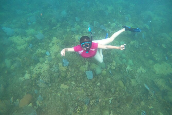 Coral Reef Snorkel Adventure with Photos and Videos - The media perk: photos and videos you get after your tour