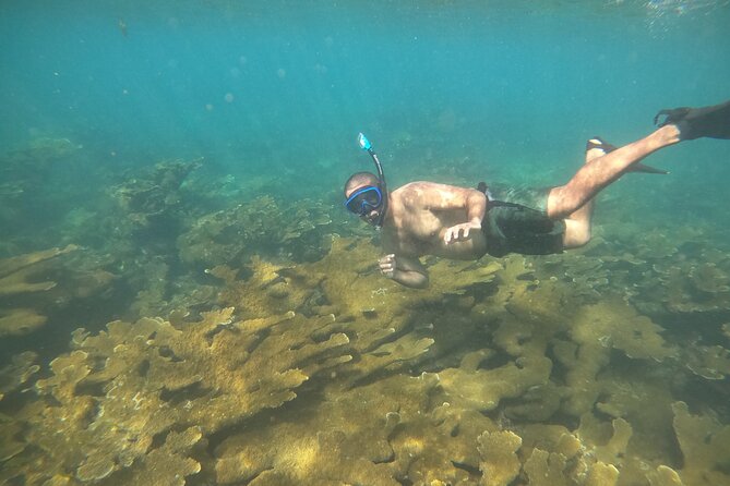 Coral Reef Snorkel Adventure with Photos and Videos - Small-group snorkeling in Rincón feels safer and calmer