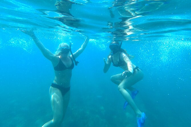 Coral Reef Snorkel Adventure with Photos and Videos - Price and value: how $50 makes sense for a guided reef with media